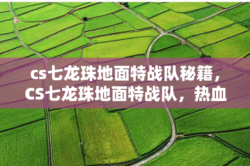 cs七龙珠地面特战队秘籍,CS七龙珠地面特战队,热血与荣耀的战场 cs七龙珠地面特战队秘籍,CS七龙珠地面特战队,热血与荣耀的战场