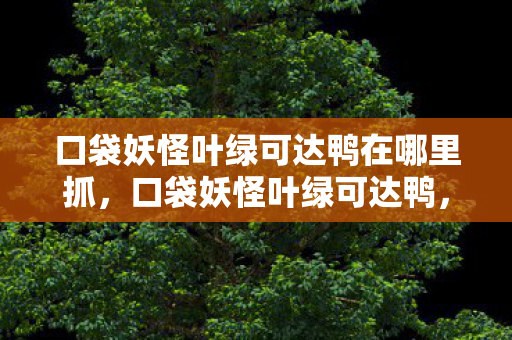 口袋妖怪叶绿可达鸭在哪里抓，口袋妖怪叶绿可达鸭，重温经典，探索未知
