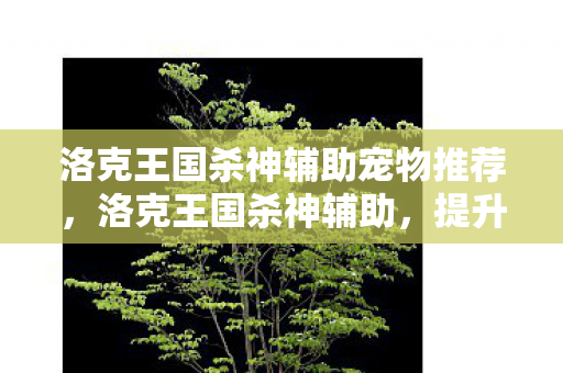 洛克王国杀神辅助宠物推荐，洛克王国杀神辅助，提升游戏效率与乐趣的利器