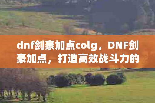 dnf剑豪加点colg,DNF剑豪加点,打造高效战斗力的关键 dnf剑豪加点colg,DNF剑豪加点,打造高效战斗力的关键