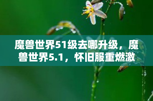 魔兽世界51级去哪升级，魔兽世界5.1，怀旧服重燃激情，经典再现的五大亮点