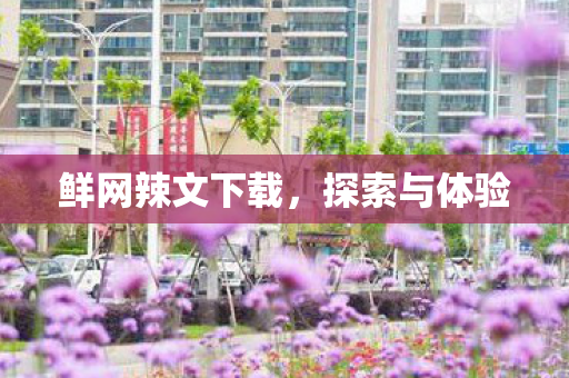 鲜网辣文下载,探索与体验 鲜网辣文下载,探索与体验