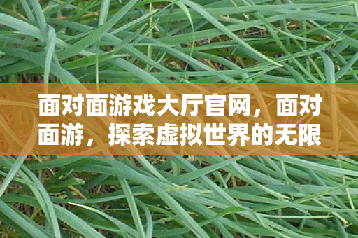 面对面游戏大厅官网,面对面游,探索虚拟世界的无限可能 面对面游戏大厅官网,面对面游,探索虚拟世界的无限可能