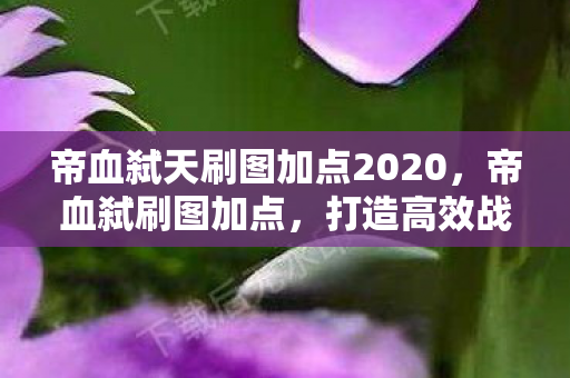 帝血弑天刷图加点2020，帝血弑刷图加点，打造高效战斗力的关键