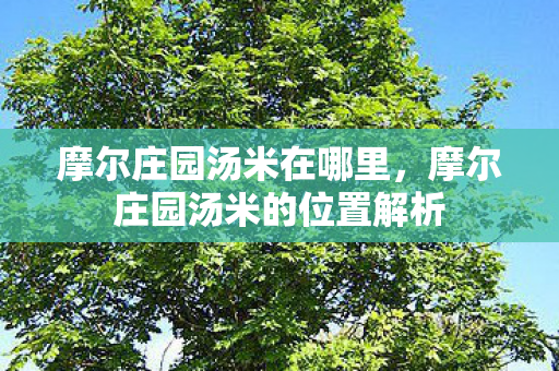 摩尔庄园汤米在哪里,摩尔庄园汤米的位置解析 摩尔庄园汤米在哪里,摩尔庄园汤米的位置解析