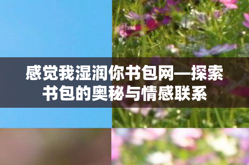 感觉我湿润你书包网—探索书包的奥秘与情感联系