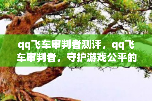 qq飞车审判者测评，qq飞车审判者，守护游戏公平的正义使者