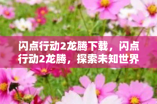 闪点行动2龙腾下载，闪点行动2龙腾，探索未知世界的奇幻之旅