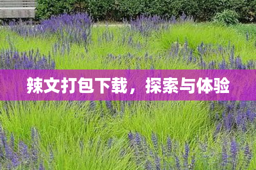 辣文打包下载，探索与体验