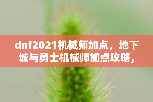 dnf2021机械师加点，地下城与勇士机械师加点攻略，打造高效机械师