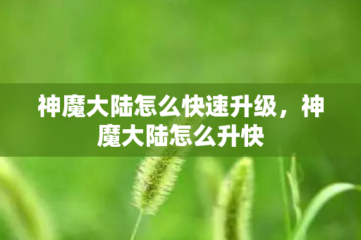 神魔大陆怎么快速升级，神魔大陆怎么升快