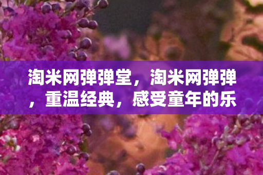 淘米网弹弹堂，淘米网弹弹，重温经典，感受童年的乐趣