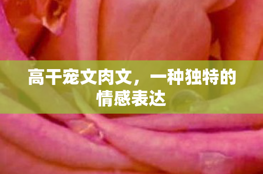 高干宠文肉文，一种独特的情感表达