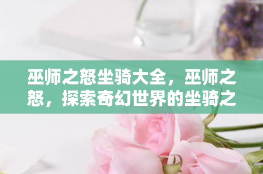 巫师之怒坐骑大全，巫师之怒，探索奇幻世界的坐骑之旅