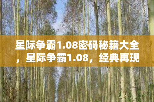 星际争霸1.08密码秘籍大全，星际争霸1.08，经典再现，策略与激情的碰撞