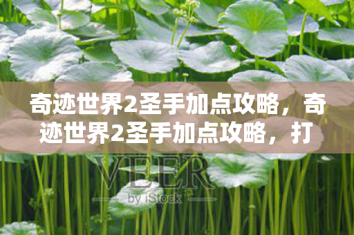 奇迹世界2圣手加点攻略，奇迹世界2圣手加点攻略，打造最强圣手职业