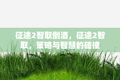 征途2智取倒酒,征途2智取,策略与智慧的碰撞 征途2智取倒酒,征途2智取,策略与智慧的碰撞