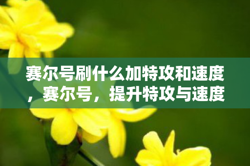 赛尔号刷什么加特攻和速度,赛尔号,提升特攻与速度的三大选择 赛尔号刷什么加特攻和速度,赛尔号,提升特攻与速度的三大选择
