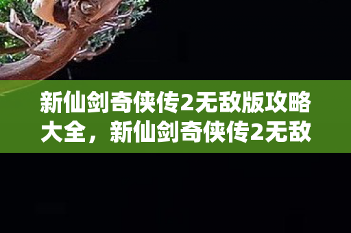 新仙剑奇侠传2无敌版攻略大全，新仙剑奇侠传2无敌版攻略，打造最强角色，征服江湖！