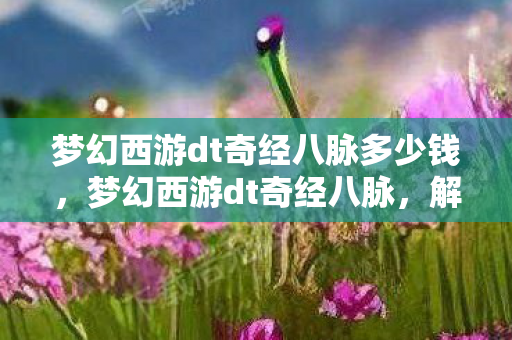 梦幻西游dt奇经八脉多少钱,梦幻西游dt奇经八脉,解锁角色潜能,打造全新战斗体验 梦幻西游dt奇经八脉多少钱,梦幻西游dt奇经八脉,解锁角色潜能,打造全新战斗体验