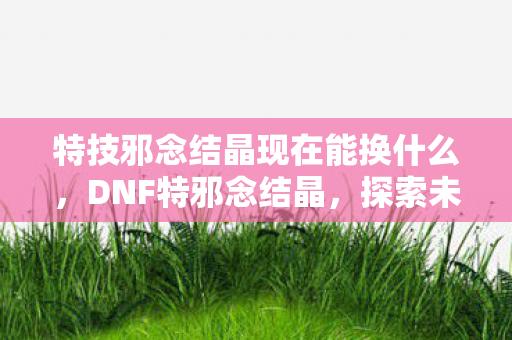 特技邪念结晶现在能换什么，DNF特邪念结晶，探索未知深渊的奇幻之旅