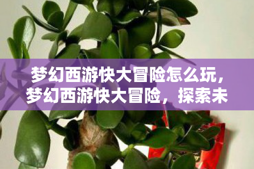 梦幻西游快大冒险怎么玩，梦幻西游快大冒险，探索未知世界的奇妙旅程