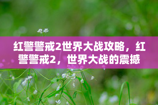 红警警戒2世界大战攻略，红警警戒2，世界大战的震撼与反思