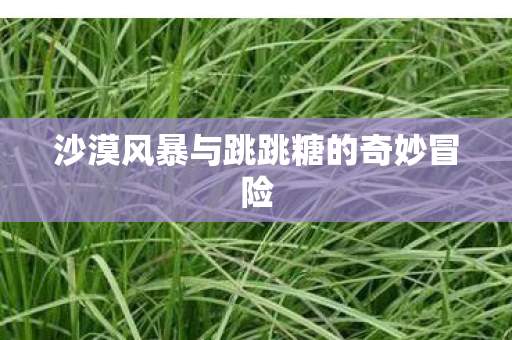 沙漠风暴与跳跳糖的奇妙冒险