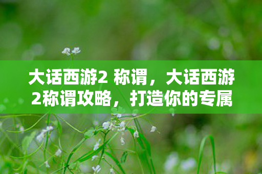 大话西游2 称谓,大话西游2称谓攻略,打造你的专属荣耀 大话西游2 称谓,大话西游2称谓攻略,打造你的专属荣耀