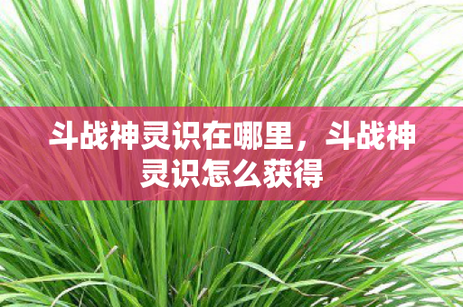 斗战神灵识在哪里，斗战神灵识怎么获得