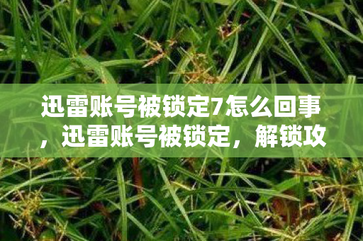 迅雷账号被锁定7怎么回事,迅雷账号被锁定,解锁攻略与安全建议 迅雷账号被锁定7怎么回事,迅雷账号被锁定,解锁攻略与安全建议