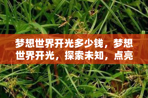 梦想世界开光多少钱，梦想世界开光，探索未知，点亮未来