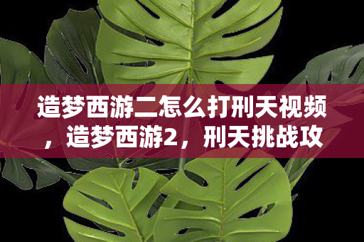 造梦西游二怎么打刑天视频，造梦西游2，刑天挑战攻略