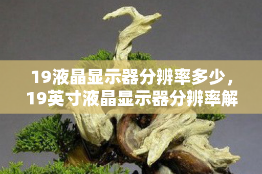 19液晶显示器分辨率多少，19英寸液晶显示器分辨率解析，从基础到进阶