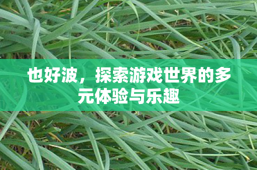 也好波,探索游戏世界的多元体验与乐趣 也好波,探索游戏世界的多元体验与乐趣