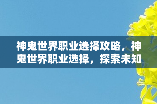 神鬼世界职业选择攻略，神鬼世界职业选择，探索未知，挑战极限