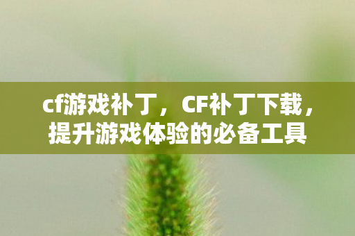 cf游戏补丁，CF补丁下载，提升游戏体验的必备工具