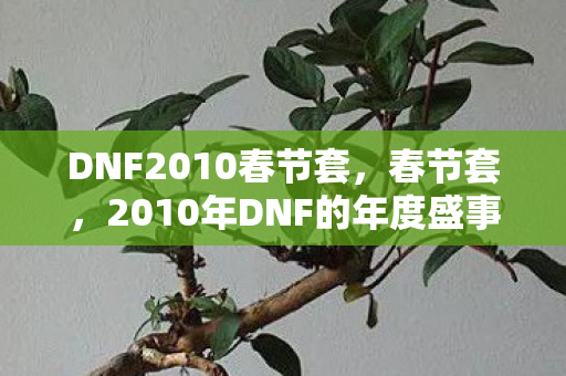 DNF2010春节套，春节套，2010年DNF的年度盛事
