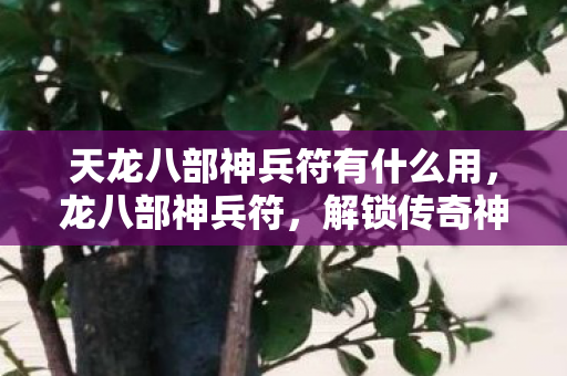 天龙八部神兵符有什么用,龙八部神兵符,解锁传奇神兵,探索未知力量 天龙八部神兵符有什么用,龙八部神兵符,解锁传奇神兵,探索未知力量