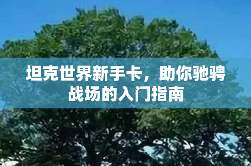 坦克世界新手卡，助你驰骋战场的入门指南
