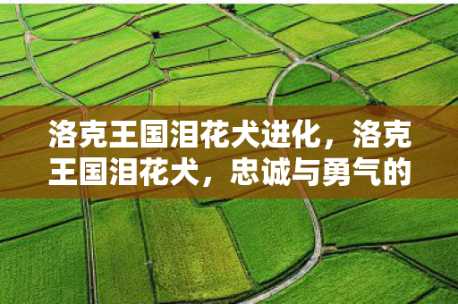 洛克王国泪花犬进化,洛克王国泪花犬,忠诚与勇气的化身 洛克王国泪花犬进化,洛克王国泪花犬,忠诚与勇气的化身