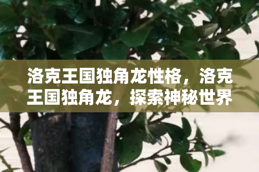 洛克王国独角龙性格，洛克王国独角龙，探索神秘世界的奇幻之旅