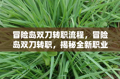 冒险岛双刀转职流程,冒险岛双刀转职,揭秘全新职业转型之路 冒险岛双刀转职流程,冒险岛双刀转职,揭秘全新职业转型之路