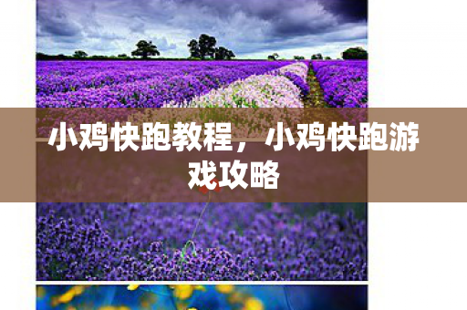 小鸡快跑教程，小鸡快跑游戏攻略