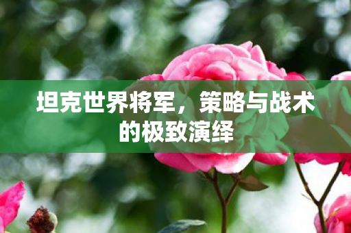 坦克世界将军，策略与战术的极致演绎