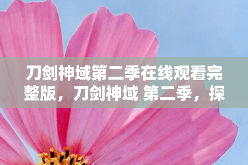 刀剑神域第二季在线观看完整版，刀剑神域 第二季，探索虚拟世界的无限可能