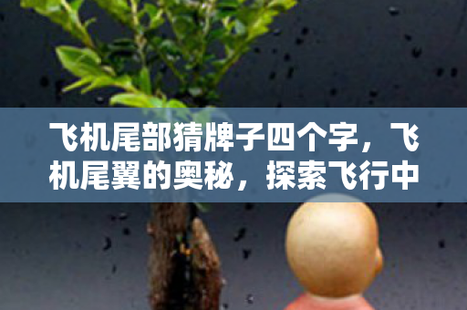 飞机尾部猜牌子四个字,飞机尾翼的奥秘,探索飞行中的艺术 飞机尾部猜牌子四个字,飞机尾翼的奥秘,探索飞行中的艺术