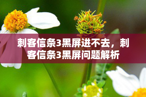 刺客信条3黑屏进不去，刺客信条3黑屏问题解析