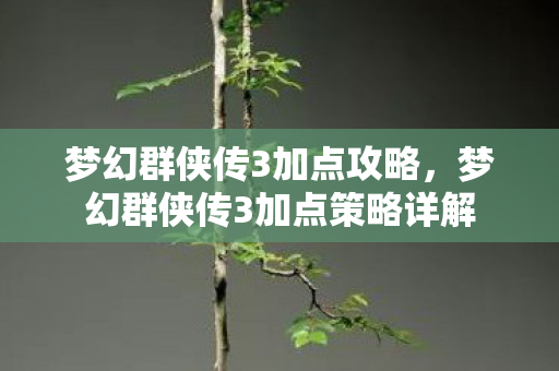 梦幻群侠传3加点攻略，梦幻群侠传3加点策略详解