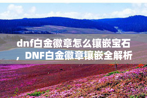 dnf白金徽章怎么镶嵌宝石，DNF白金徽章镶嵌全解析，打造角色巅峰的必备攻略